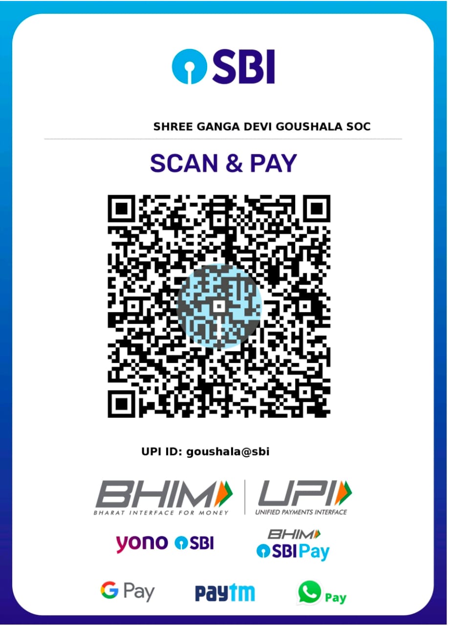 UPI QR Code